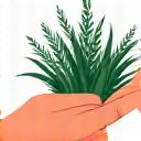 Icona di una mano che raccoglie erbe fresche, a significare cura artigianale