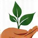 Icona di un seme in una mano che germoglia, simbolo di coltivazione biologica